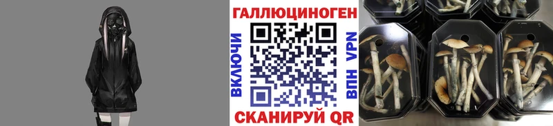 hydra   Армянск  Галлюциногенные грибы мухоморы 